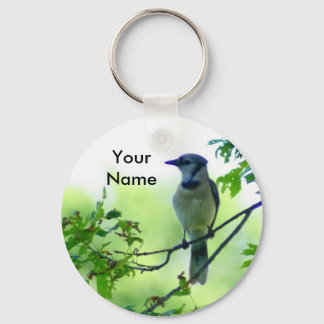 Chaveiro Blue Jay