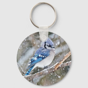 Chaveiro Blue Jay em uma tempestade de neve