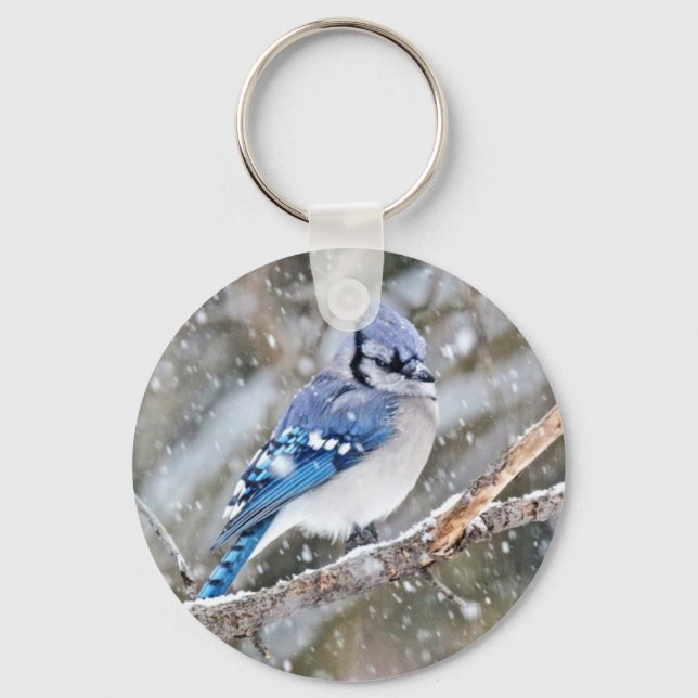 Chaveiro Blue Jay em uma tempestade de neve (Frente)