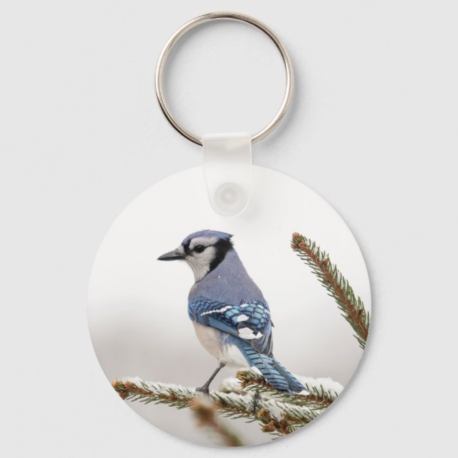 Chaveiro Blue Jay no inverno (Frente)