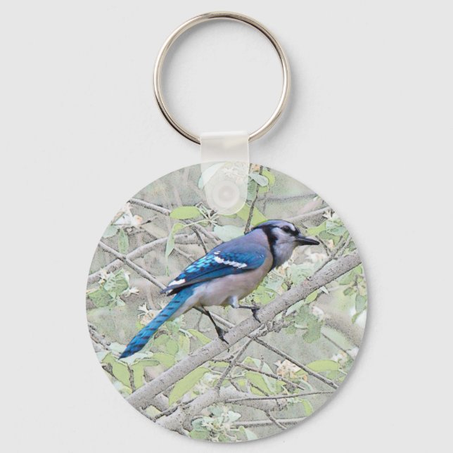 Chaveiro Blue Jay Songbird (Frente)