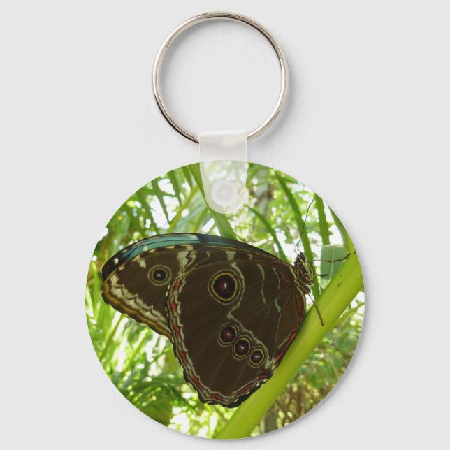 Chaveiro Blue Morpho Butterfly Nature Photoshop (Frente)