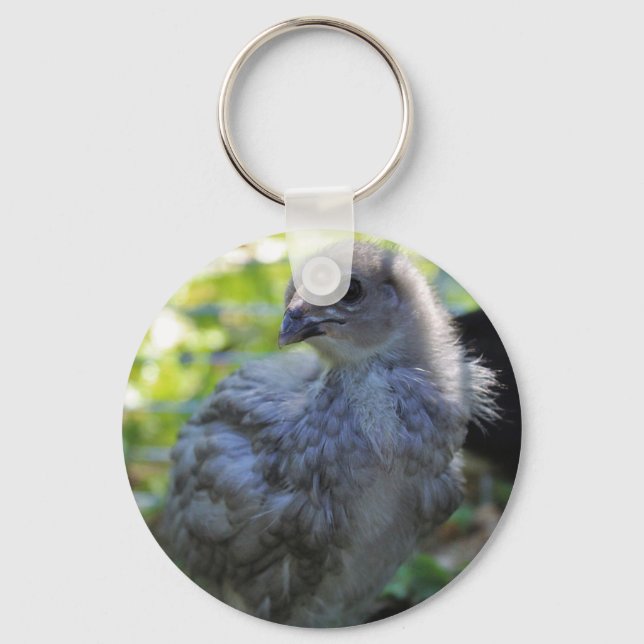 Chaveiro Bluebell (Frente)