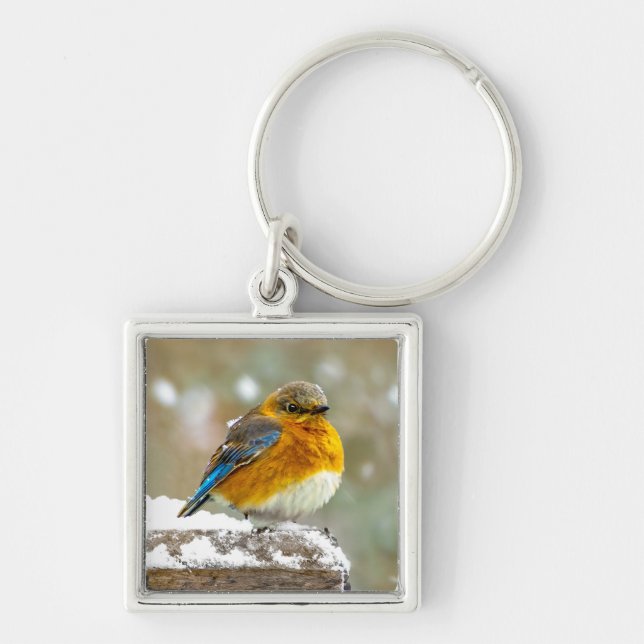 Chaveiro Bluebird oriental na neve - Foto original (Frente)