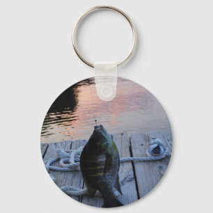 Chaveiro Bluegill no lago de Arrohouad ao pôr do sol