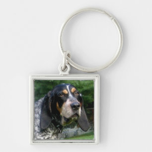 Chaveiro Bluetick Coonhound.png