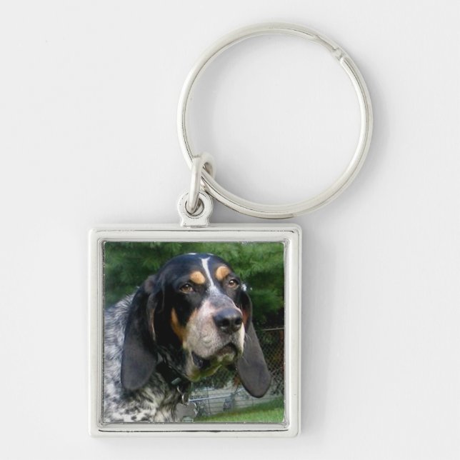 Chaveiro Bluetick Coonhound.png (Frente)