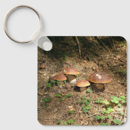 Chaveiro boletus
