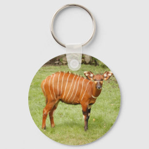 Chaveiro Bongos africanos