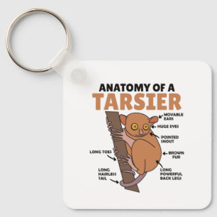 Chaveiro Bonita Anatomia Tarsier De Explicação Tarsier