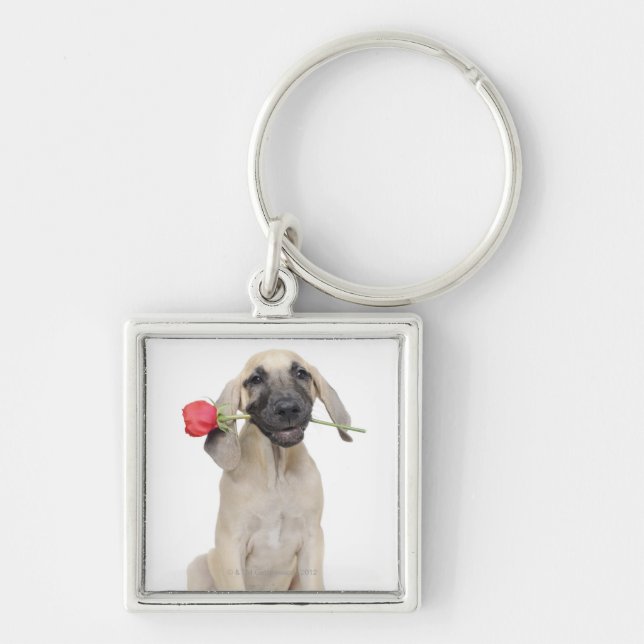 Chaveiro bonito, admiração, romance, amor, (Frente)
