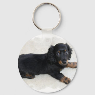 Chaveiro bonito de Daschund