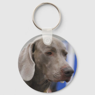 Chaveiro bonito de Weimaraner