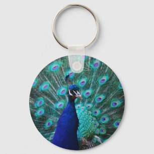 Chaveiro bonito do pavão