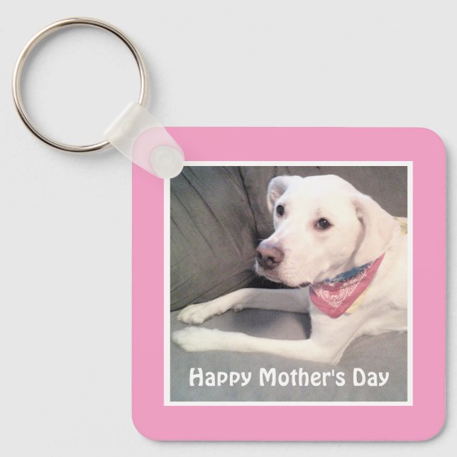 Chaveiro Bonito Labrador Branco Retriever Misturar Cachorro (Frente)