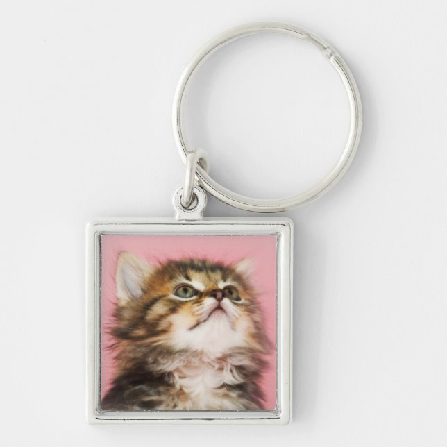 Chaveiro Bonito no gatinho cor-de-rosa (Frente)