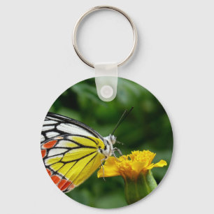 Chaveiro Borboleta amarela e vermelha na flor amarela