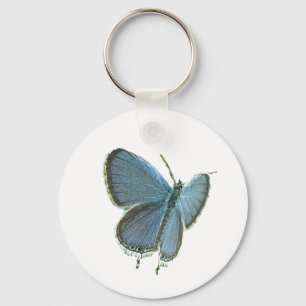 Chaveiro Borboleta Azul De Altura Oriental