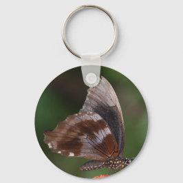 Chaveiro Borboleta branca e marrom na flor vermelha