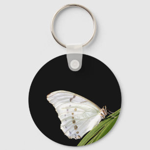 Chaveiro Borboleta branca Morpho na folha