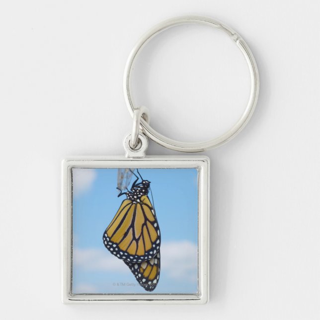 Chaveiro Borboleta de monarca, com crisálida (Frente)