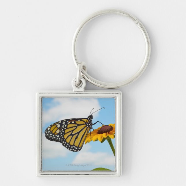 Chaveiro Borboleta de monarca em uma Susan de olhos pretos (Frente)