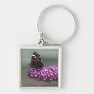 Chaveiro Borboleta de pavão na flor