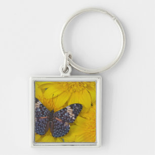 Chaveiro Borboleta em uma Flor Amarela