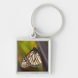 Chaveiro Borboleta Monarca em Agave
