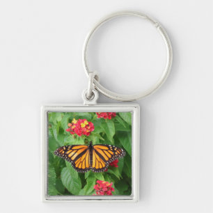 Chaveiro Borboleta Monarca em Lantana
