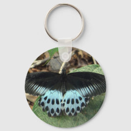Chaveiro Borboleta Mórmon Iridescente Azul