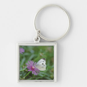 Chaveiro Borboleta na flor