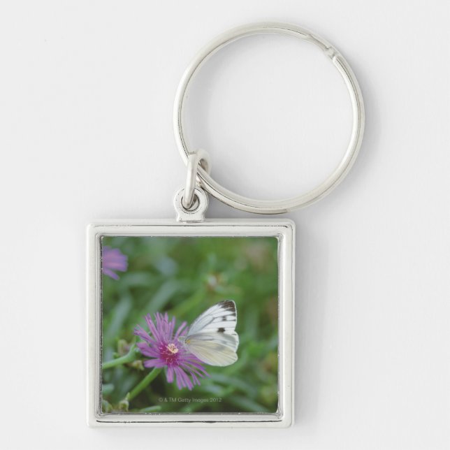 Chaveiro Borboleta na flor (Frente)