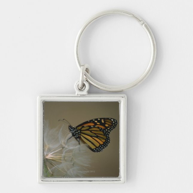 Chaveiro Borboleta no dente-de-leão (Frente)