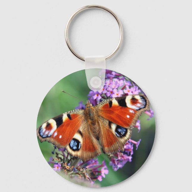 Chaveiro Borboleta Peacock (Frente)