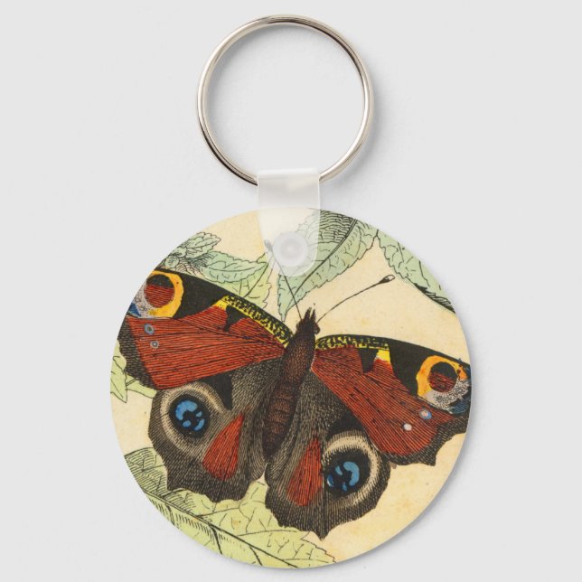 Chaveiro Borboleta Peacock (Frente)