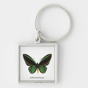 Chaveiro Borboleta verde de Birdwing