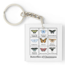 Borboletas de Chautauqua