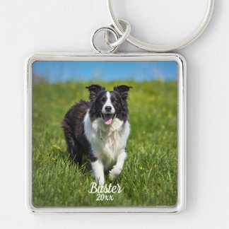 Chaveiro Borda de Foto de Animal Personalizada Collie