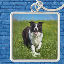 Chaveiro Borda de Foto de Animal Simples Border Collie Pers