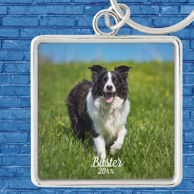 Chaveiro Borda de Foto de Animal Simples Border Collie Pers (Customize this Keychain , Upload your pets Photo, name and current year, )