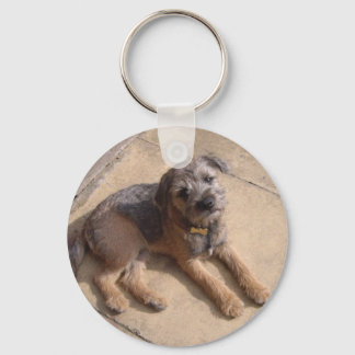 Chaveiro Borda Terrier