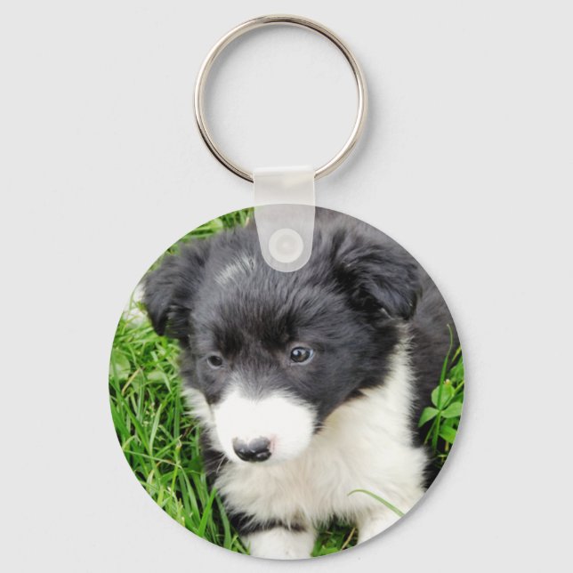CHAVEIRO BORDER COLLIE (Frente)