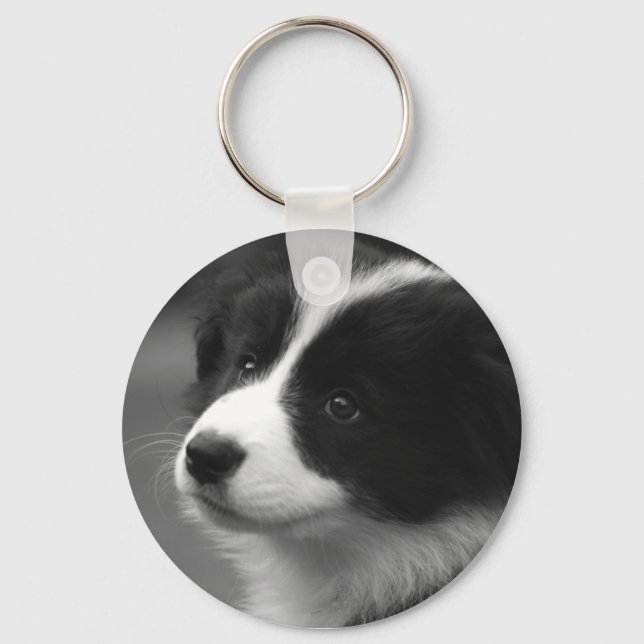 Chaveiro Border Collie Puppy (Frente)