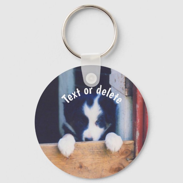 Chaveiro Border Collie Puppy Dog Personalized (Frente)