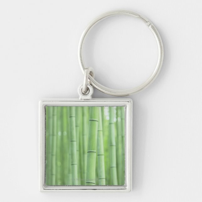 Chaveiro Bosque de bambu (Frente)