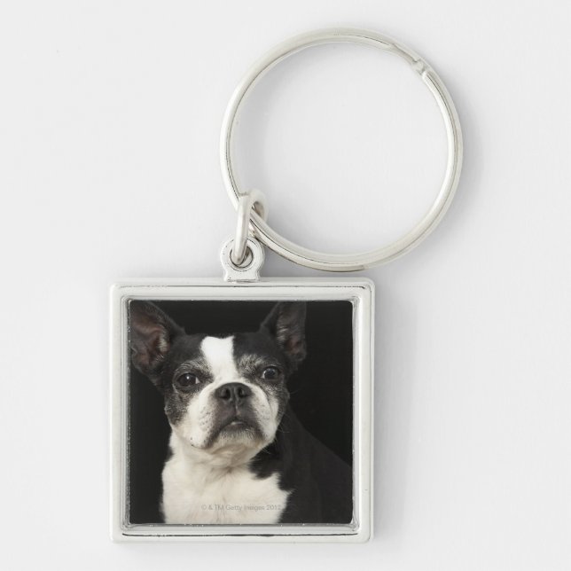 Chaveiro Bosten mais velho Terrier no fundo preto (Frente)