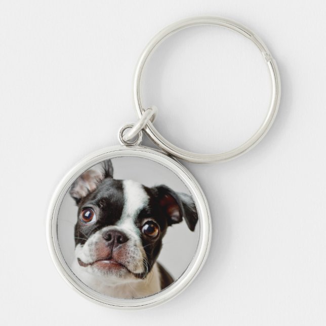 Chaveiro Boston Terrier (Frente)