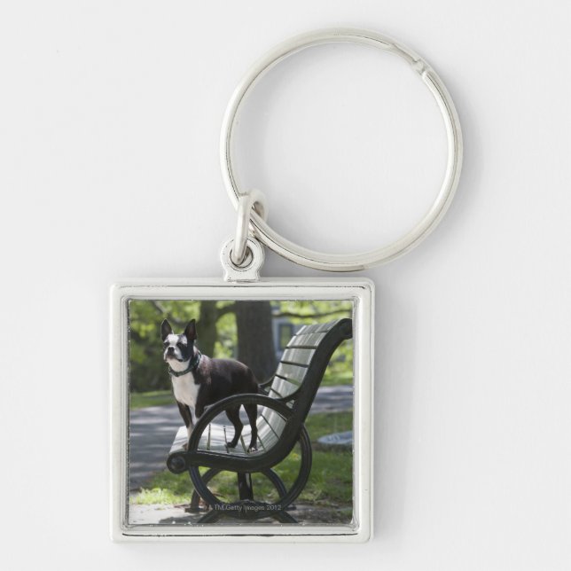 Chaveiro Boston Terrier (Frente)