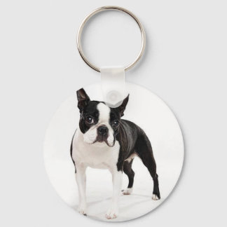 Chaveiro Boston Terrier